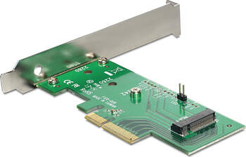 Delock PCI Express Karte > 1 x intern M.2 NGFF 