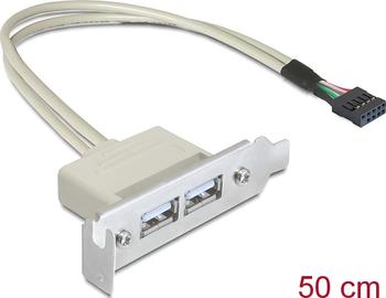 DeLock Slotblech - USB 2.0 2xPort Low Profile 