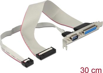 DeLock Slotblech > 1 x Seriell, 1 x Parallel 