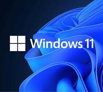 Microsoft Windows 11 Pro 64Bit inkl. DVD Französisch 