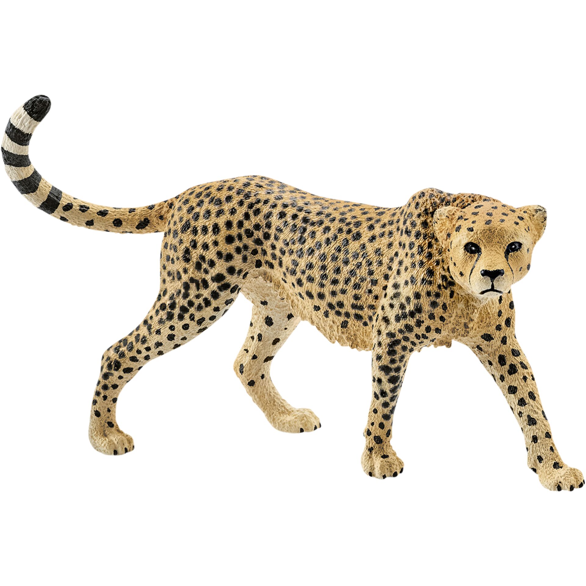 Schleich Wild Life Gepardin