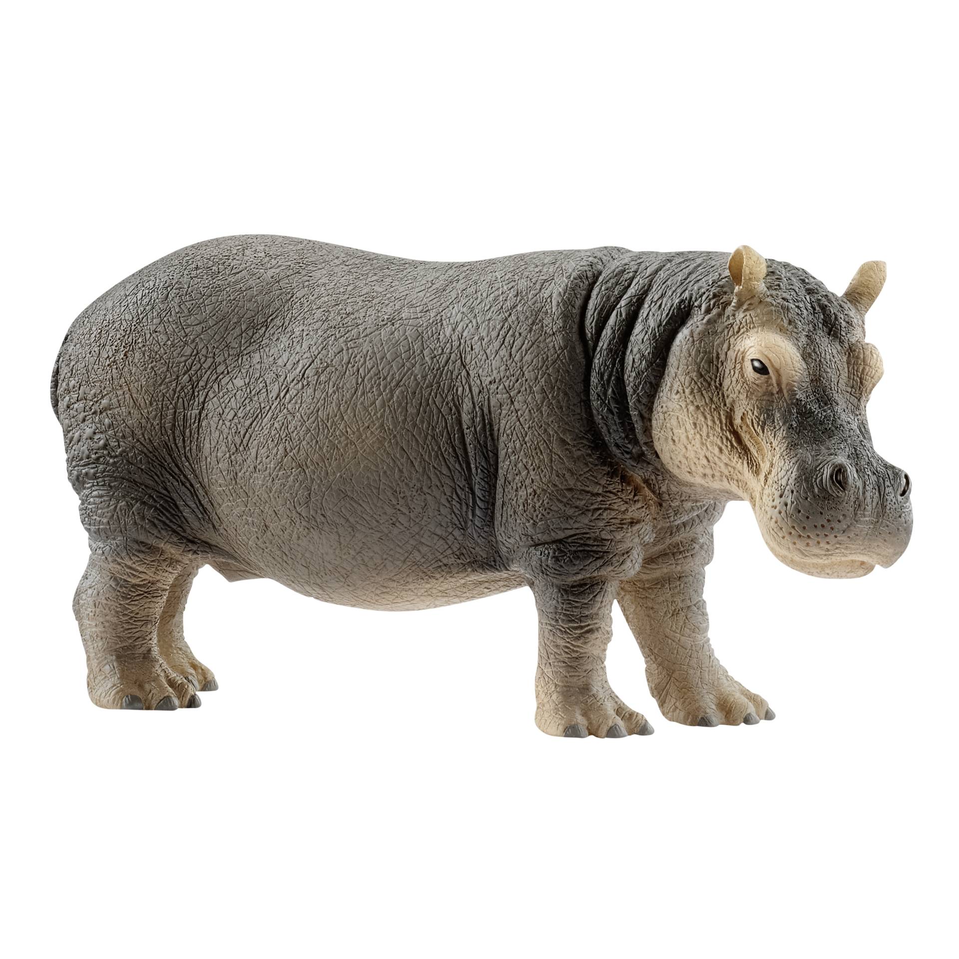 Schleich Wild Life         14814 Flusspferd