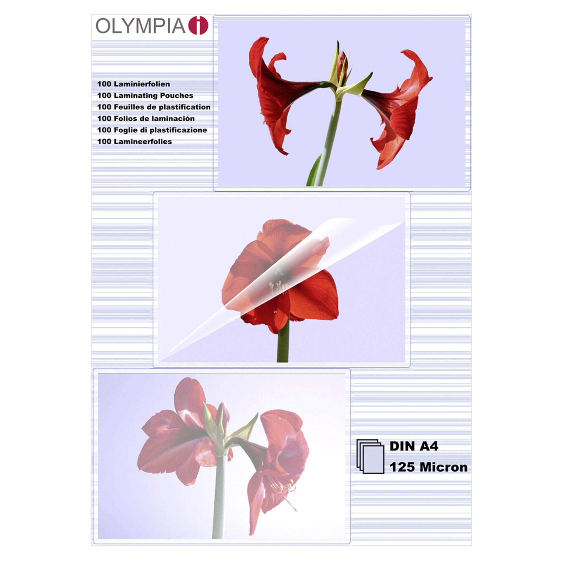 Olympia 1x100 Laminierfolien DIN A 4 