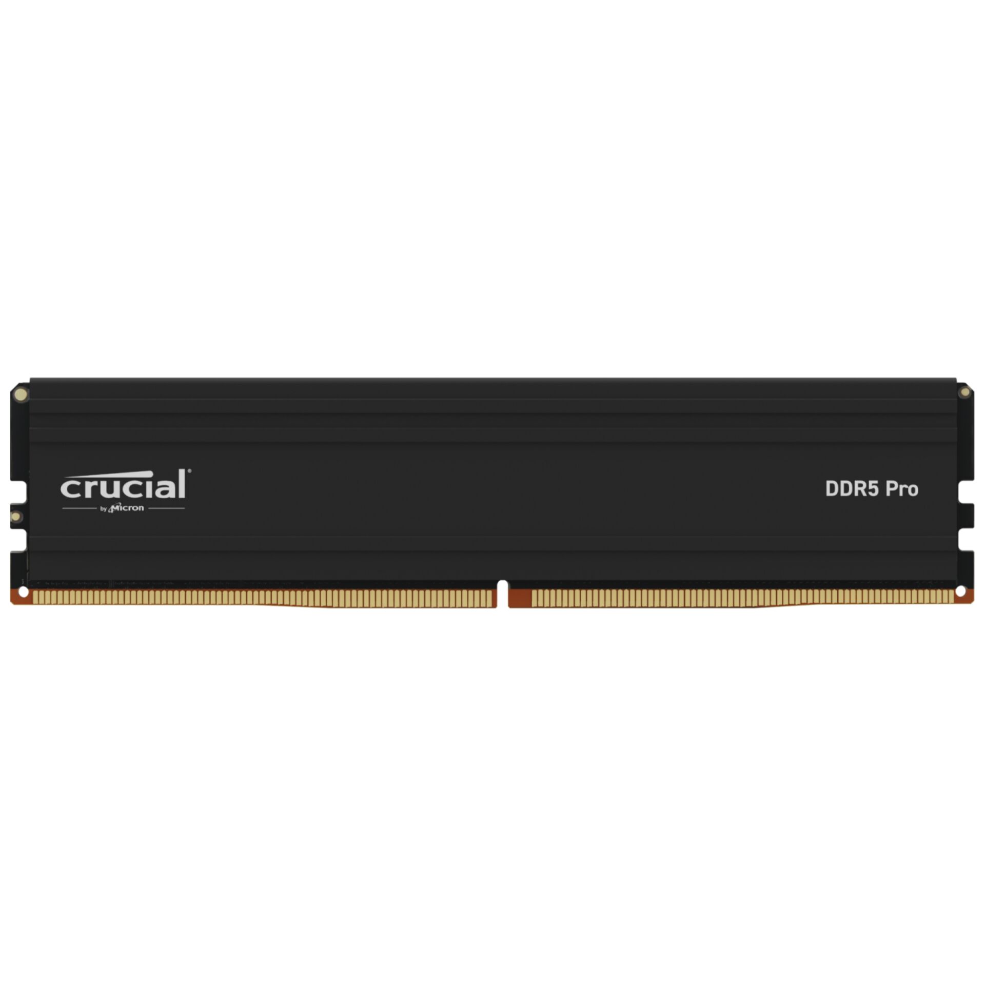 Crucial Pro Speichermodul 32 GB 1 x 32 GB DDR5 5600 MHz