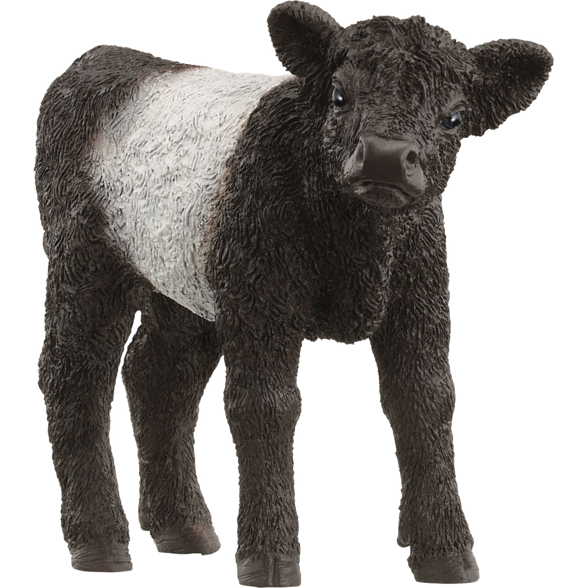 schleich FARM WORLD Galloway Kalb