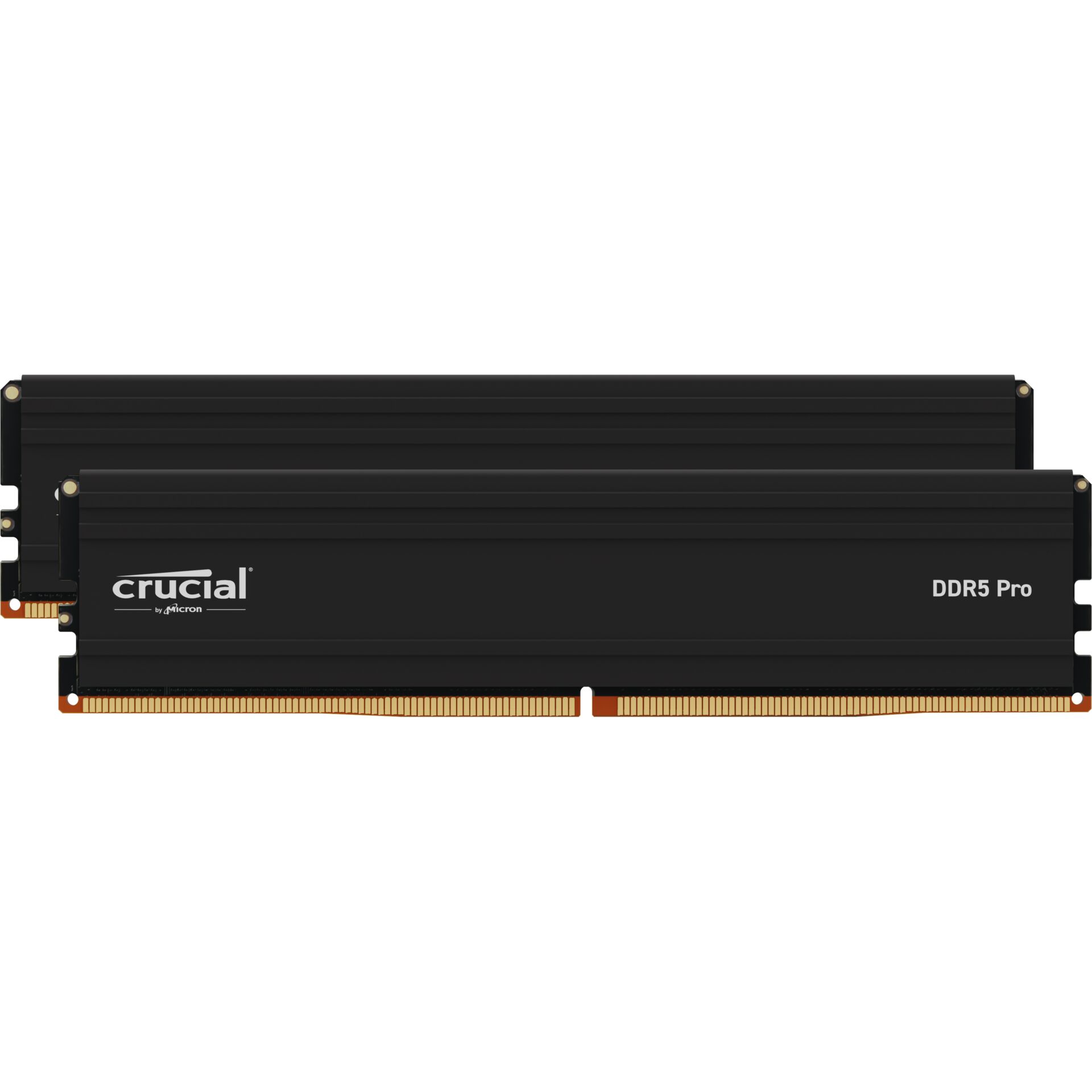 Crucial Pro Speichermodul 32 GB 2 x 16 GB DDR5 6000 MHz