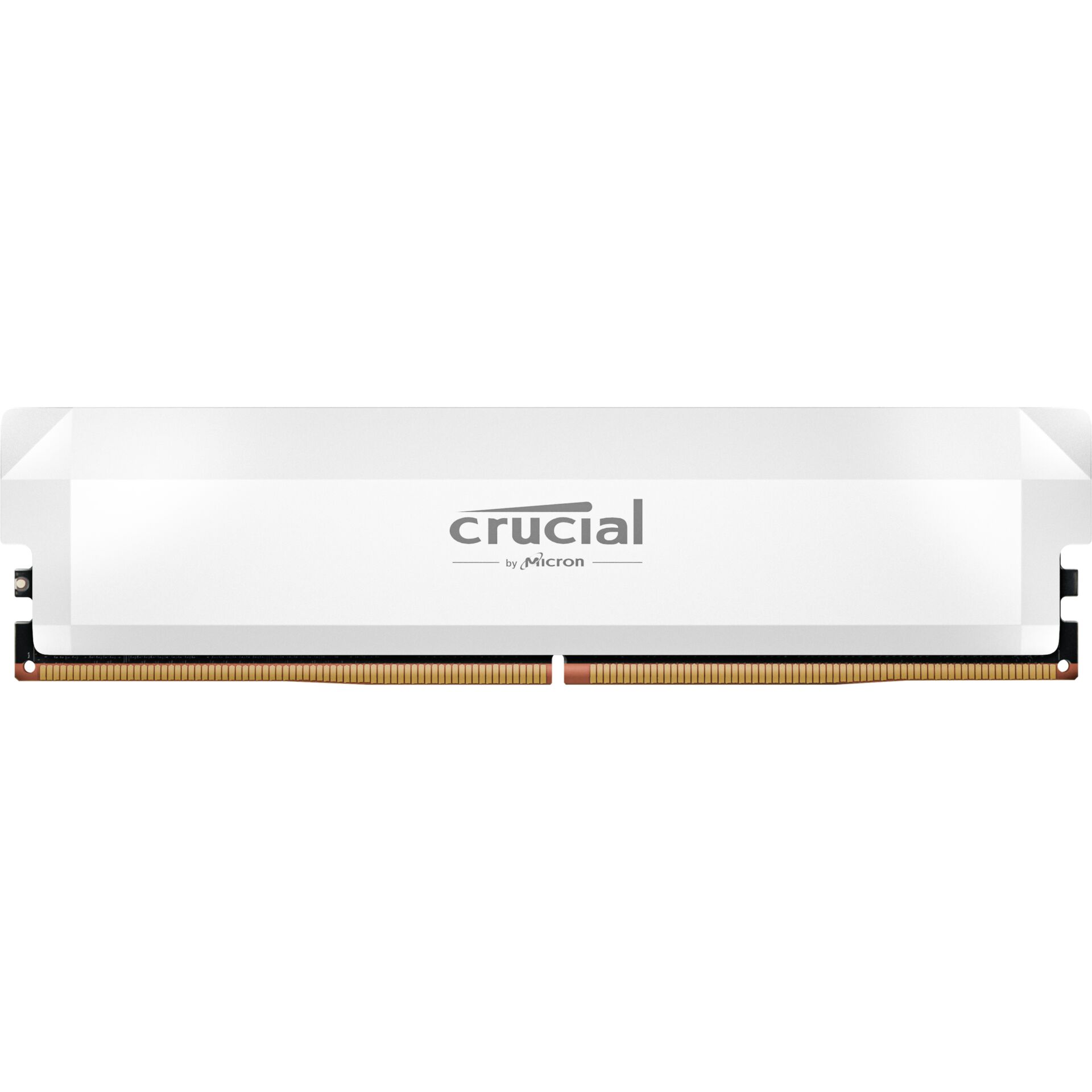 Crucial Pro Overclocking Speichermodul 16 GB 1 x 16 GB DDR5 6000 MHz