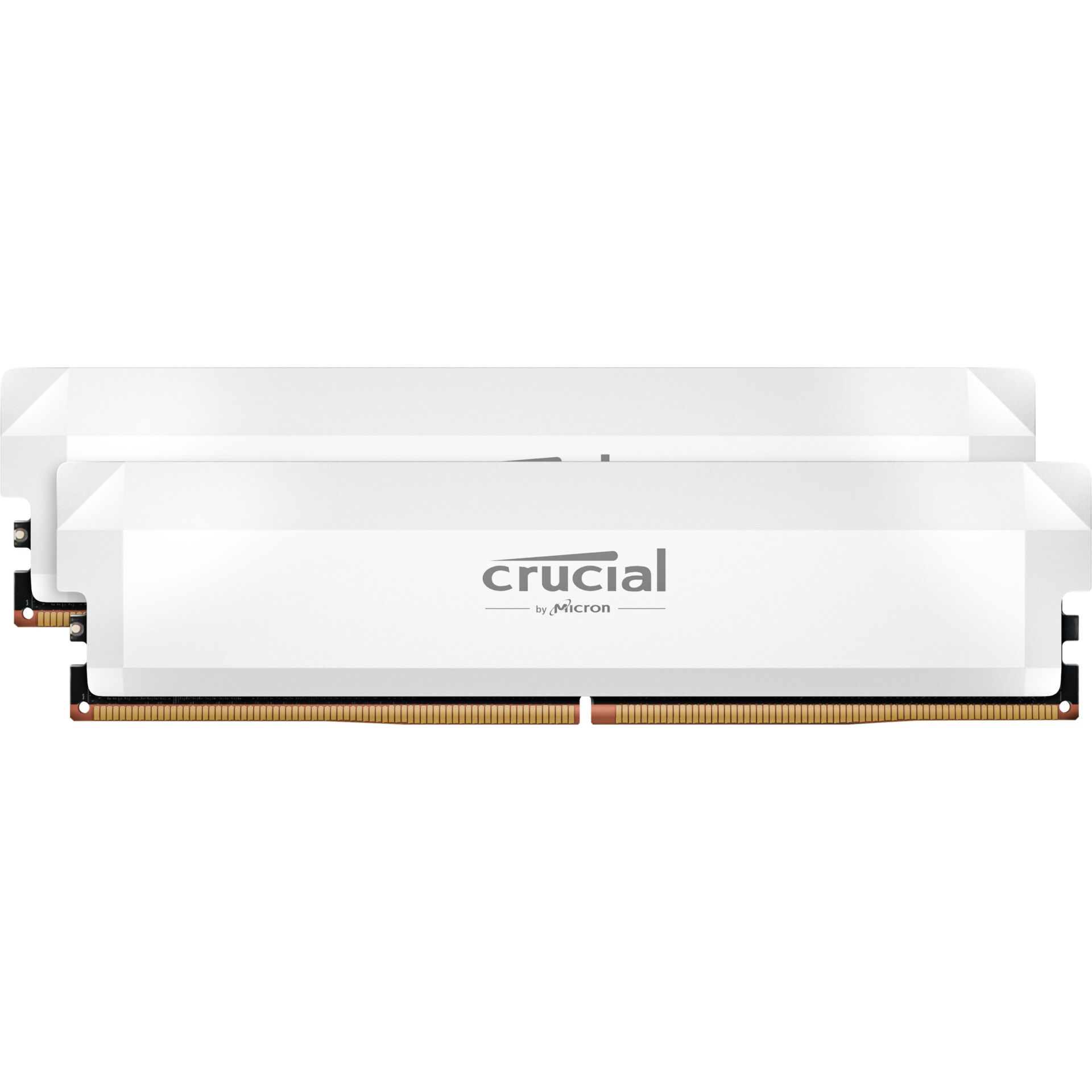 Crucial Pro Overclocking Speichermodul 32 GB 2 x 16 GB DDR5 6000 MHz