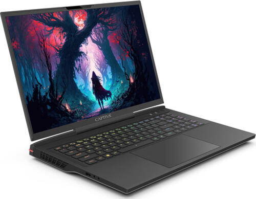 CAPTIVA Highend Gaming I81-478 Intel Core i9 Laptop 43,9 cm (17.3) WQXGA 16 GB DDR5-SDRAM 1 TB SSD NVIDIA GeForce RTX 4070 Wi-Fi 6 (802.11ax) Windows 11 Home Schwarz