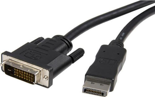 StarTech.com 3m DisplayPort auf DVI Adapter / Konverter Kabel (Stecker/Stecker)