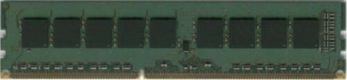 Dataram 8GB DDR3 Speichermodul 1 x 8 GB 1600 MHz ECC