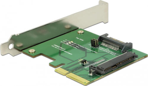 DeLOCK 89672 Schnittstellenkarte/Adapter Eingebaut PCI, SATA, U.2