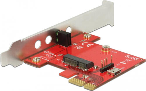 DeLOCK 89889 Schnittstellenkarte/Adapter Eingebaut M.2