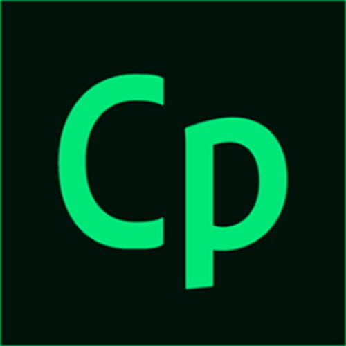 Adobe Captivate 2019 Desktop-Publishing 1 Lizenz(en) Englisch