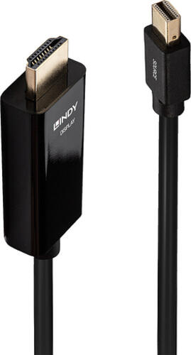 Lindy 36928 Videokabel-Adapter 3 m Mini DisplayPort HDMI Typ A (Standard) Schwarz