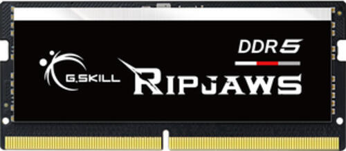 G.Skill Ripjaws F5-4800S3838A32GX1-RS Speichermodul 32 GB 1 x 32 GB DDR5 4800 MHz